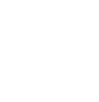 bergman_bulb_logo